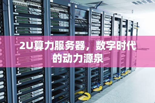2U算力服务器，数字时代的动力源泉