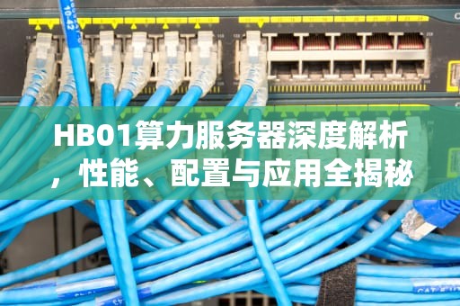 HB01算力服务器深度解析，性能、配置与应用全揭秘