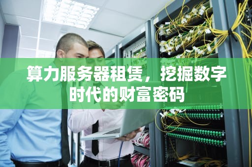 算力服务器租赁，挖掘数字时代的财富密码
