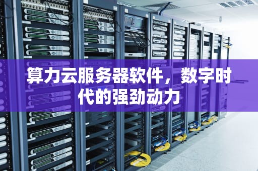 算力云服务器软件，数字时代的强劲动力