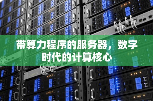 带算力程序的服务器，数字时代的计算核心