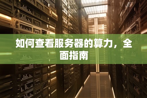 如何查看服务器的算力，全面指南