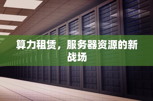 算力租赁，服务器资源的新战场