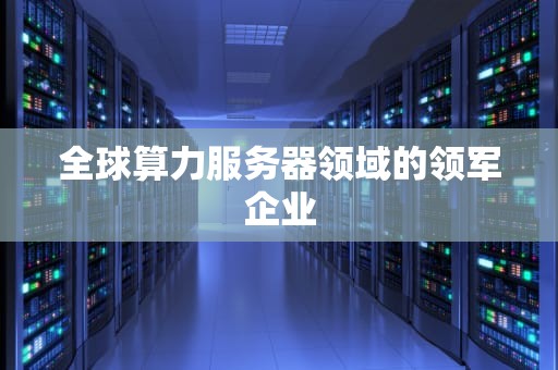 全球算力服务器领域的领军企业