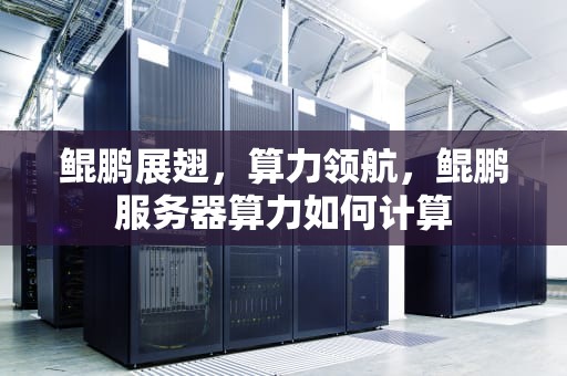 鲲鹏展翅，算力领航，鲲鹏服务器算力如何计算
