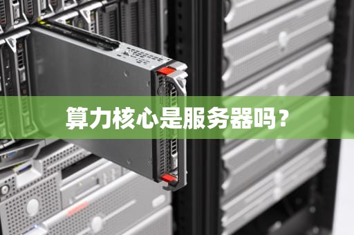 算力核心是服务器吗？