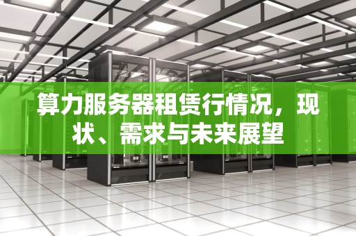 算力服务器租赁行情况，现状、需求与未来展望