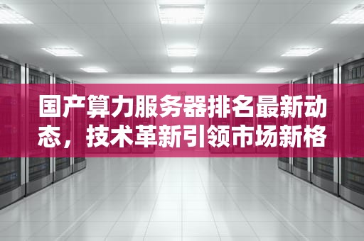 国产算力服务器排名最新动态，技术革新引领市场新格局