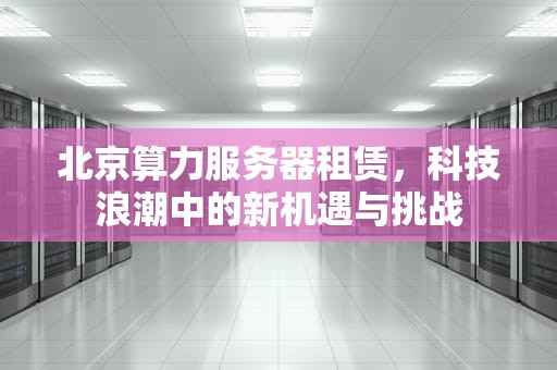 北京算力服务器租赁，科技浪潮中的新机遇与挑战