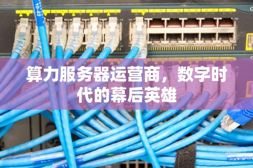 算力服务器运营商，数字时代的幕后英雄