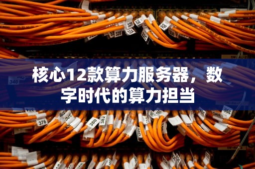 核心12款算力服务器，数字时代的算力担当