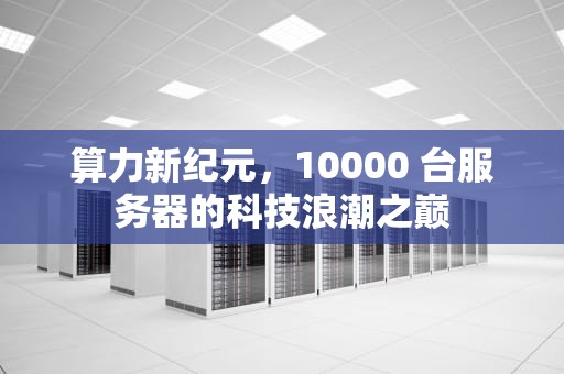 算力新纪元，10000 台服务器的科技浪潮之巅