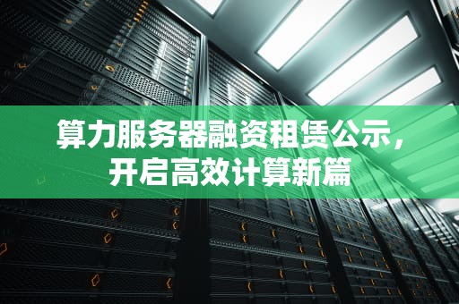 算力服务器融资租赁公示，开启高效计算新篇