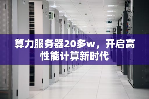 算力服务器20多w，开启高性能计算新时代