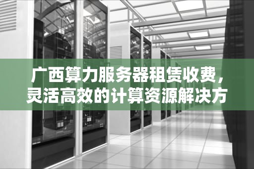 广西算力服务器租赁收费，灵活高效的计算资源解决方案