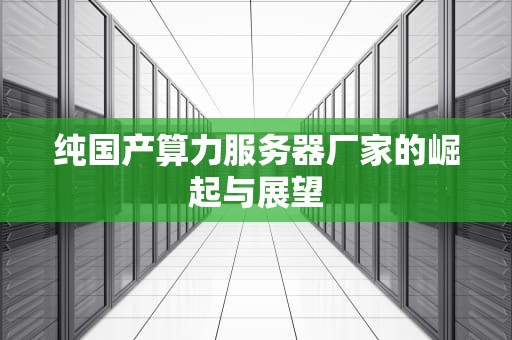 纯国产算力服务器厂家的崛起与展望