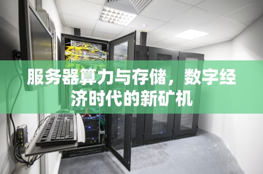 服务器算力与存储，数字经济时代的新矿机