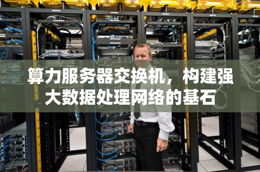 算力服务器交换机，构建强大数据处理网络的基石