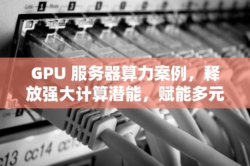 GPU 服务器算力案例，释放强大计算潜能，赋能多元应用场景