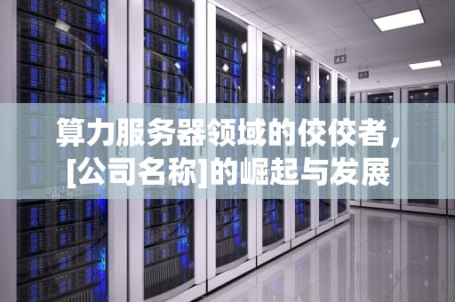 算力服务器领域的佼佼者，[公司名称]的崛起与发展