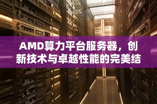AMD算力平台服务器，创新技术与卓越性能的完美结合