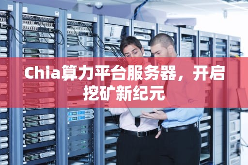 Chia算力平台服务器，开启挖矿新纪元