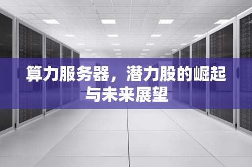 算力服务器，潜力股的崛起与未来展望