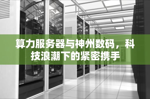 算力服务器与神州数码，科技浪潮下的紧密携手