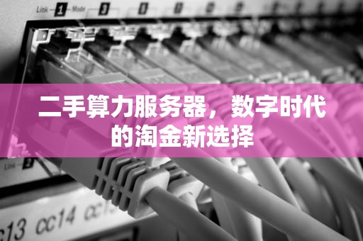 二手算力服务器，数字时代的淘金新选择