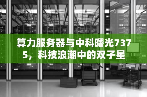 算力服务器与中科曙光7375，科技浪潮中的双子星