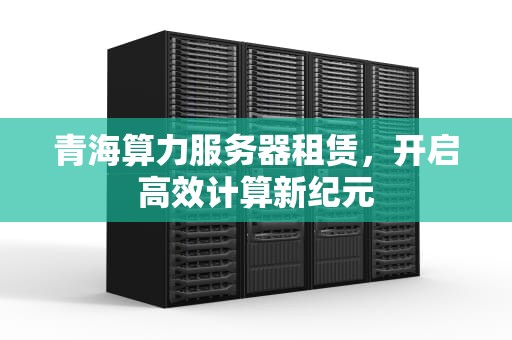 青海算力服务器租赁，开启高效计算新纪元