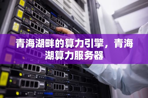 青海湖畔的算力引擎，青海湖算力服务器
