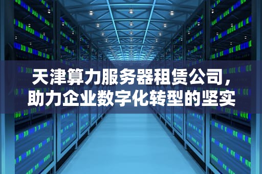 天津算力服务器租赁公司，助力企业数字化转型的坚实后盾