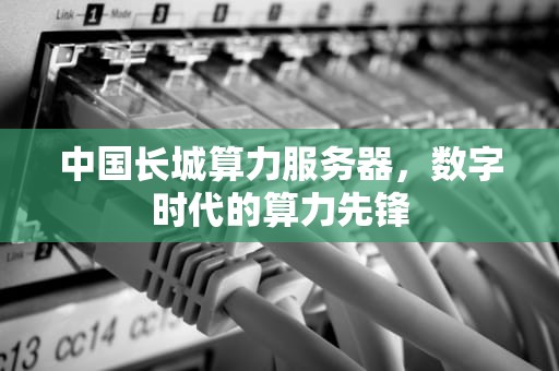 中国长城算力服务器，数字时代的算力先锋