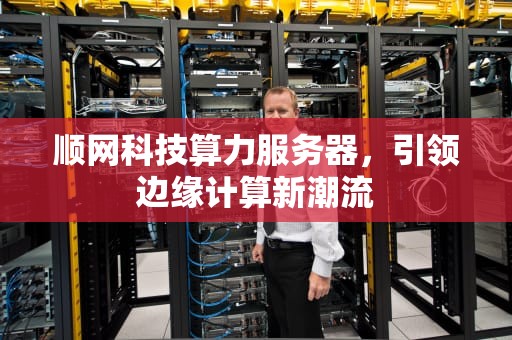 顺网科技算力服务器，引领边缘计算新潮流