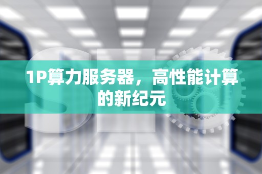 1P算力服务器，高性能计算的新纪元