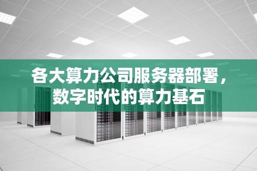 各大算力公司服务器部署，数字时代的算力基石