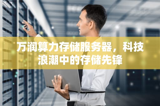万润算力存储服务器，科技浪潮中的存储先锋