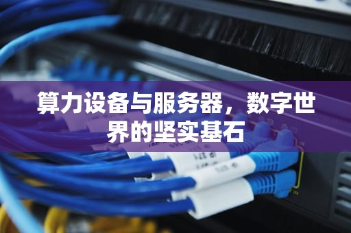 算力设备与服务器，数字世界的坚实基石