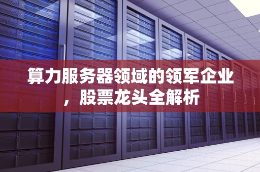 算力服务器领域的领军企业，股票龙头全解析