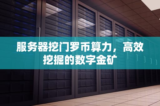 服务器挖门罗币算力，高效挖掘的数字金矿