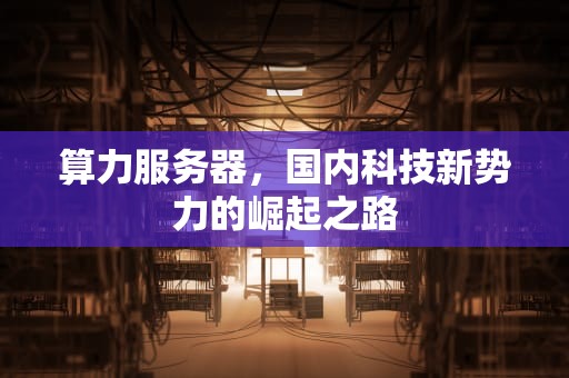 算力服务器，国内科技新势力的崛起之路