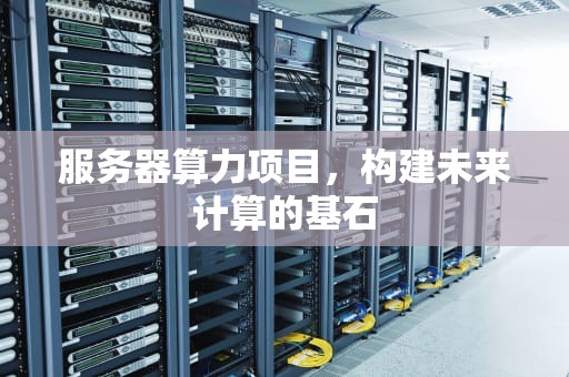 服务器算力项目，构建未来计算的基石