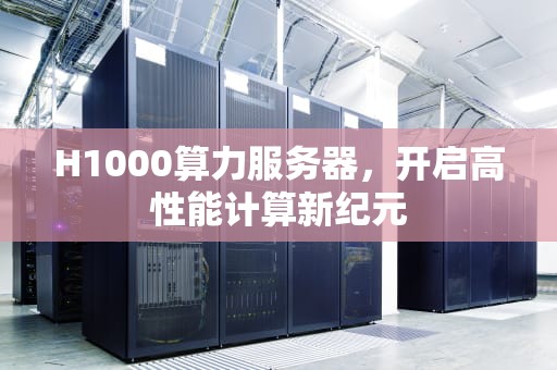 H1000算力服务器，开启高性能计算新纪元