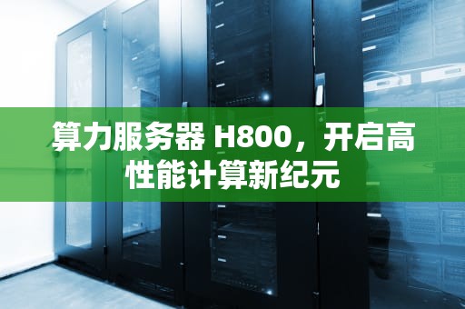 算力服务器 H800，开启高性能计算新纪元