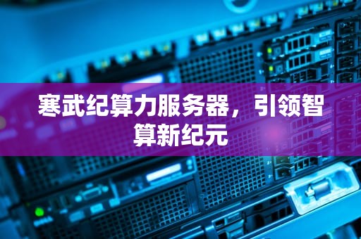 寒武纪算力服务器，引领智算新纪元