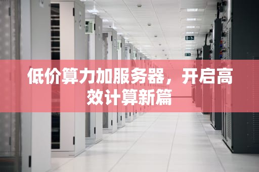 低价算力加服务器，开启高效计算新篇