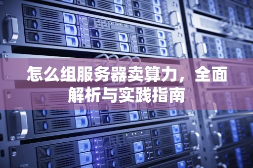 怎么组服务器卖算力，全面解析与实践指南