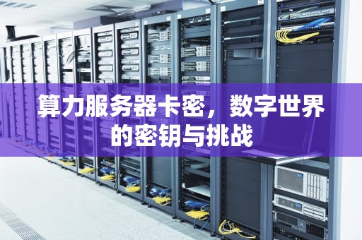 算力服务器卡密，数字世界的密钥与挑战