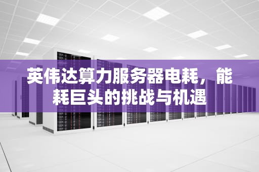 英伟达算力服务器电耗，能耗巨头的挑战与机遇